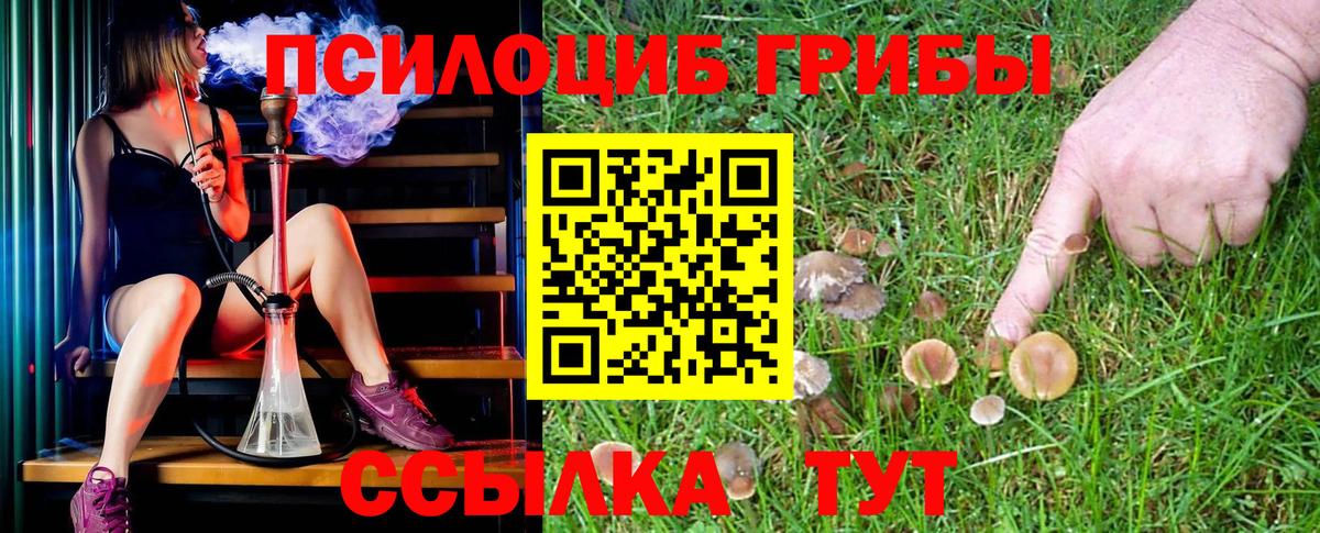 Галлюциногенные грибы GOLDEN TEACHER  Вход с VPN  Моршанск 