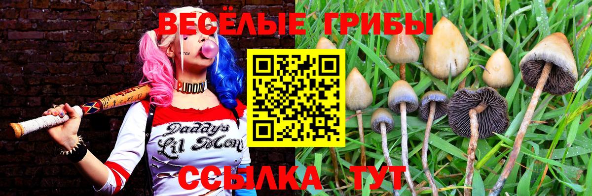 Галлюциногенные грибы MAGIC MUSHROOMS Моршанск